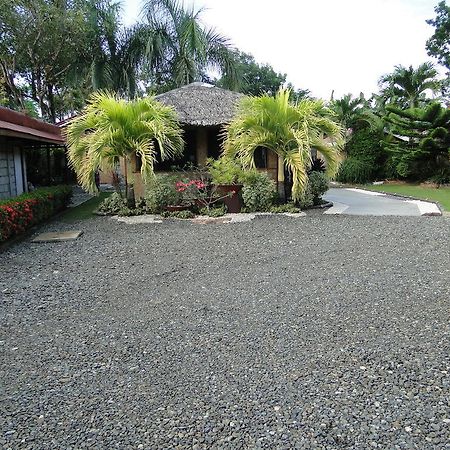 Susan'S Place Bed And Breakfast Puerto Princesa Exterior photo